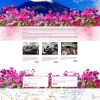 THEME WORDPRESS XKLD 6